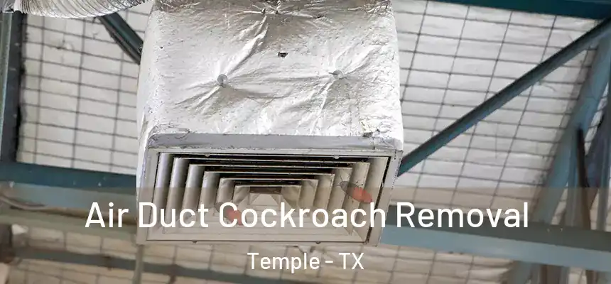 Air Duct Cockroach Removal Temple - TX