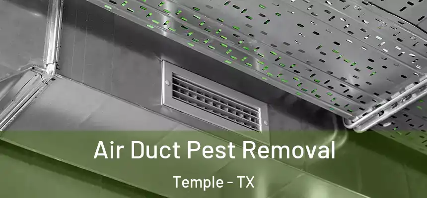 Air Duct Pest Removal Temple - TX