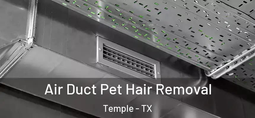 Air Duct Pet Hair Removal Temple - TX