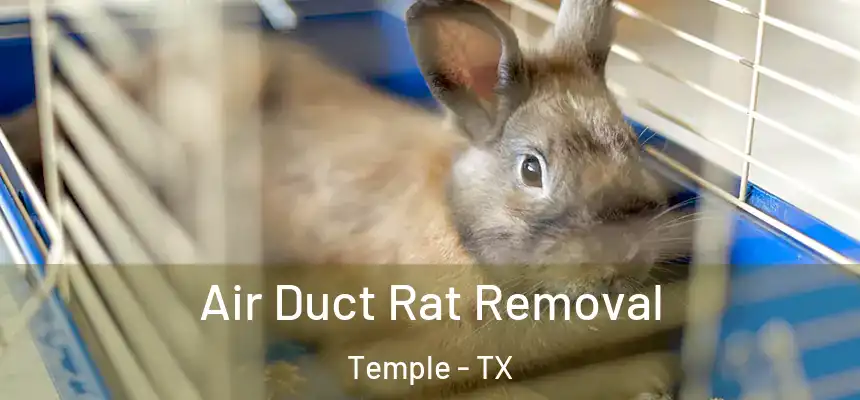  Air Duct Rat Removal Temple - TX