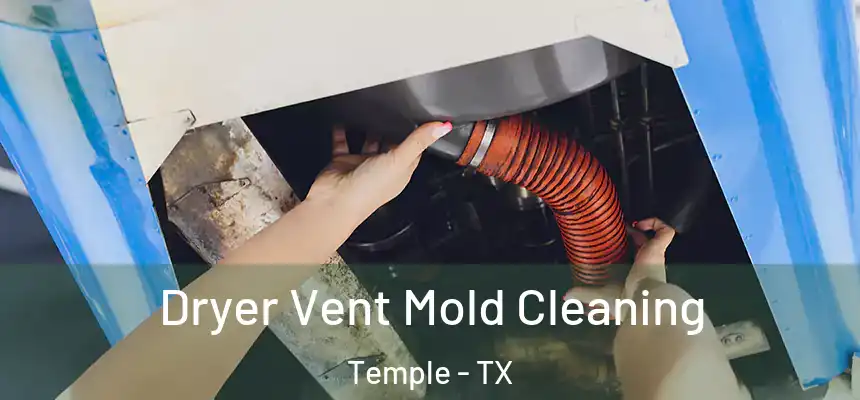 Dryer Vent Mold Cleaning Temple - TX