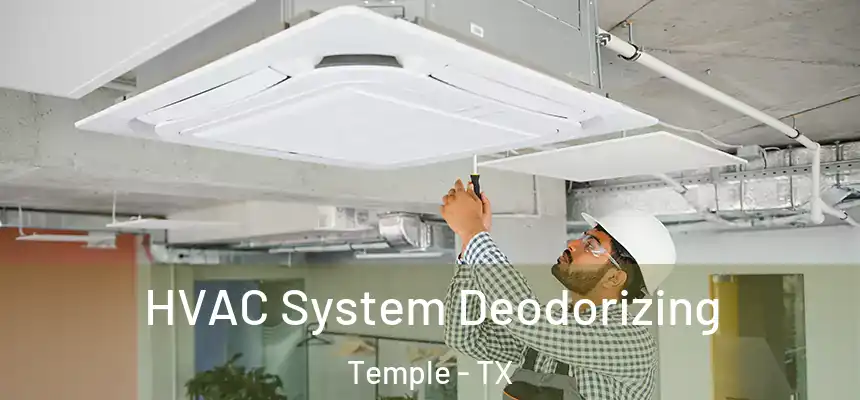  HVAC System Deodorizing Temple - TX