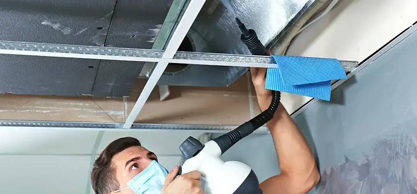 Our Air Duct Rodent Removal Services in Temple, TX