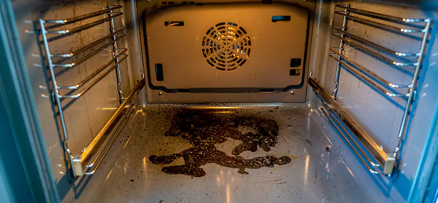 Our Dryer Vent Mold Cleaning Services in Temple, TX