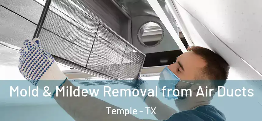 Mold & Mildew Removal from Air Ducts Temple - TX