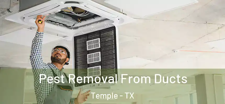 Pest Removal From Ducts Temple - TX