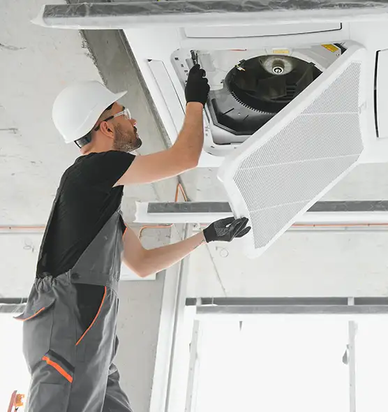 About Air Duct Rodent Removal in Temple, TX