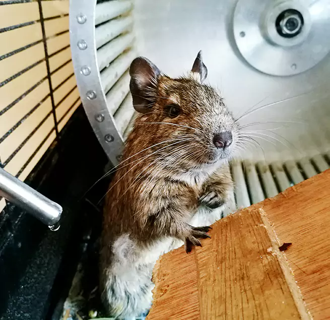 Why Homeowners & Businesses Trust Us Temple, TX